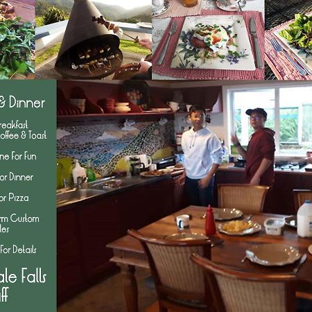 Nightingale Falls Farm Stay Retreat Thames Exteriér fotografie