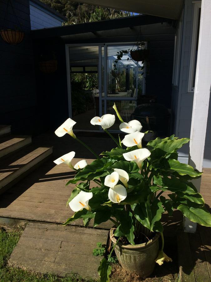 Nightingale Falls Farm Stay Retreat Thames Exteriér fotografie